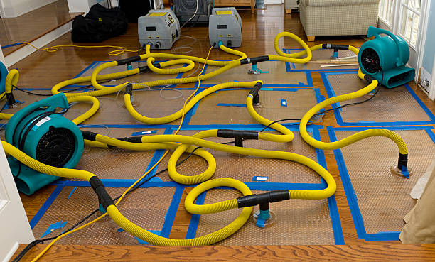 Professional Crawl Space Water Removal technician working in New Brighton, MN
